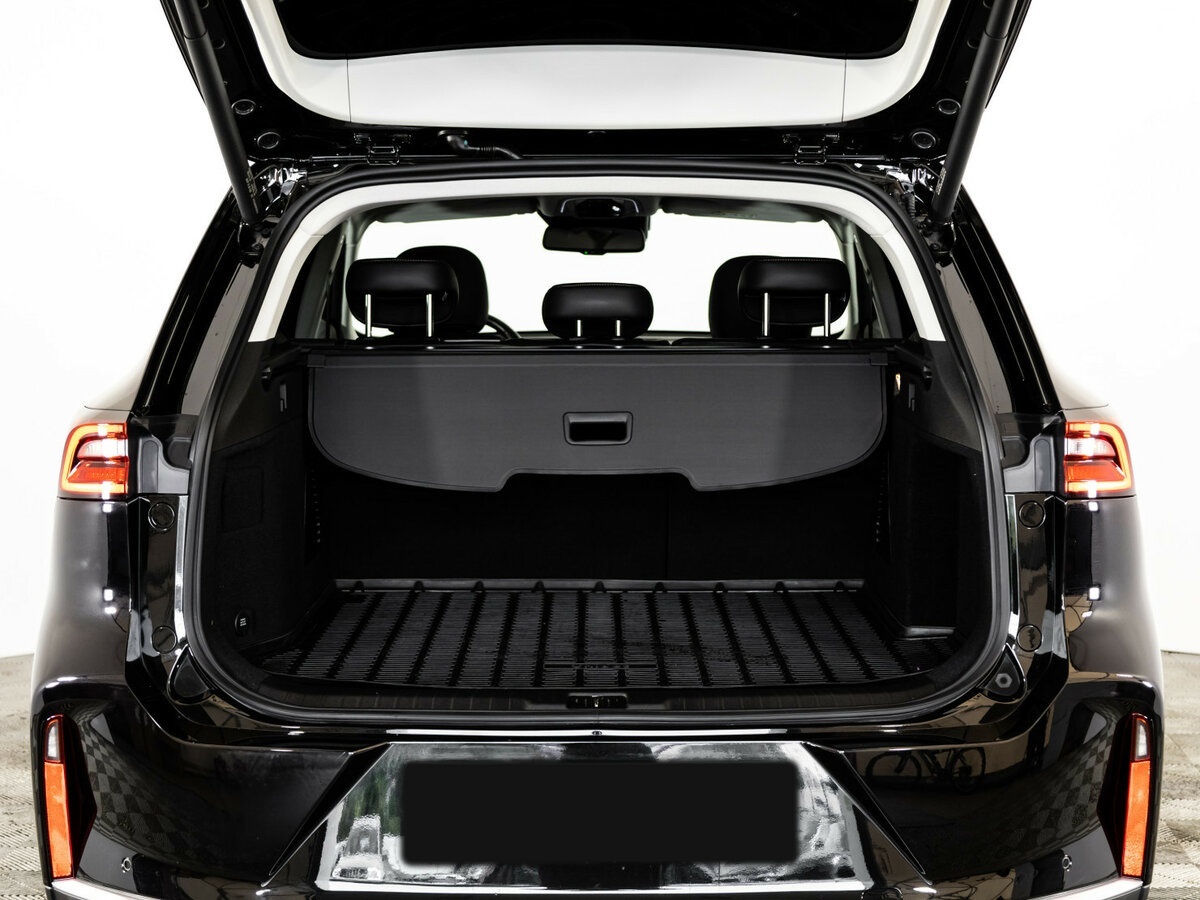 Купить Эксид Т-Икс-Л, 2023, 81 464 км.. Фото: #29